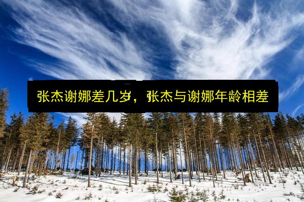 张杰谢娜差几岁,张杰与谢娜年龄相差插图 文章配图