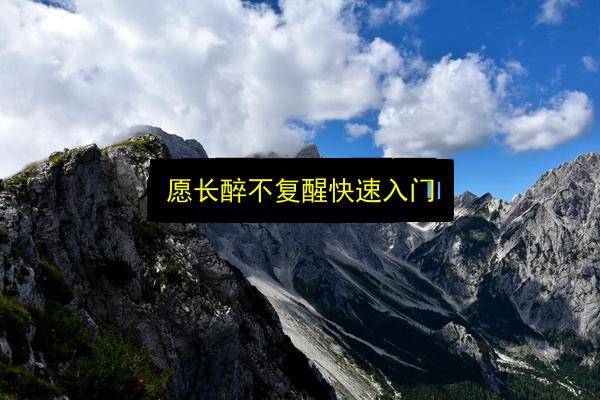 愿长醉不复醒快速入门插图 文章配图