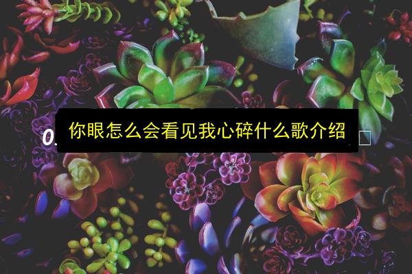 你眼怎么会看见我心碎什么歌介绍插图 文章配图