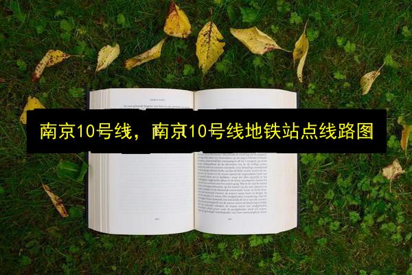 南京10号线,南京10号线地铁站点线路图插图 文章配图