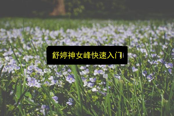 舒婷神女峰快速入门插图 文章配图