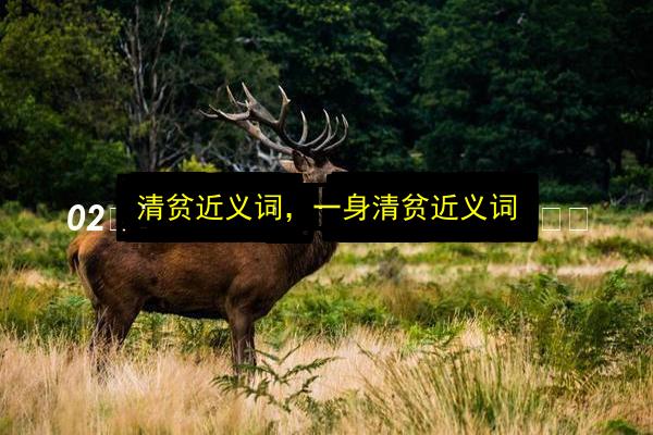 清贫近义词,一身清贫近义词插图 文章配图