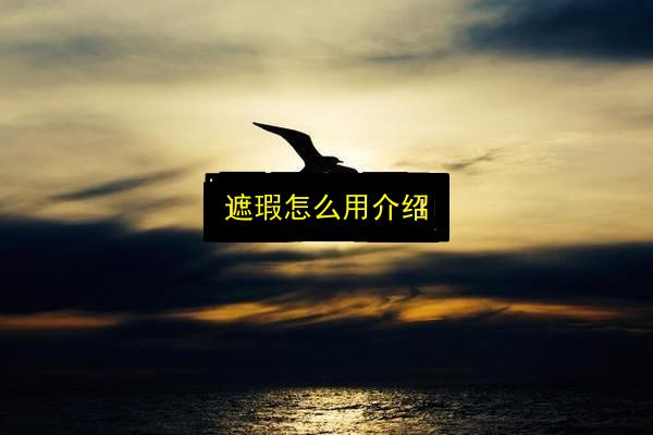 遮瑕怎么用介绍插图 文章配图