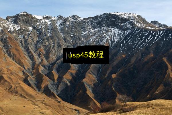 usp45教程插图 文章配图