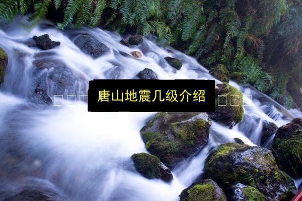 唐山地震几级介绍插图 文章配图