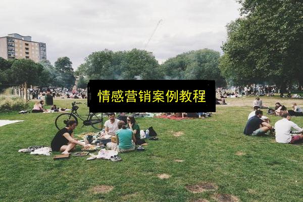 情感营销案例教程插图 文章配图