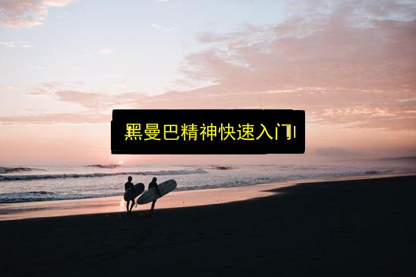 黑曼巴精神快速入门插图 文章配图