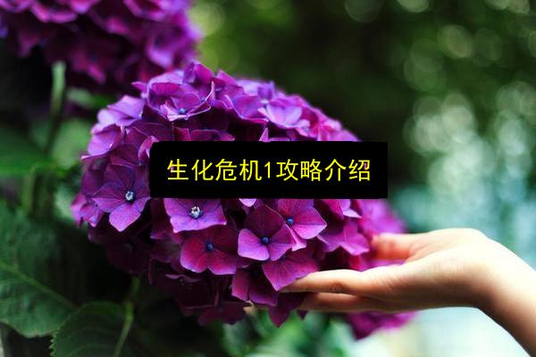 生化危机1攻略介绍插图 文章配图