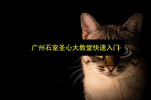 广州石室圣心大教堂快速入门插图 文章配图