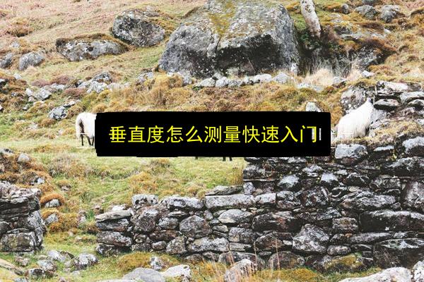 垂直度怎么测量快速入门插图 文章配图