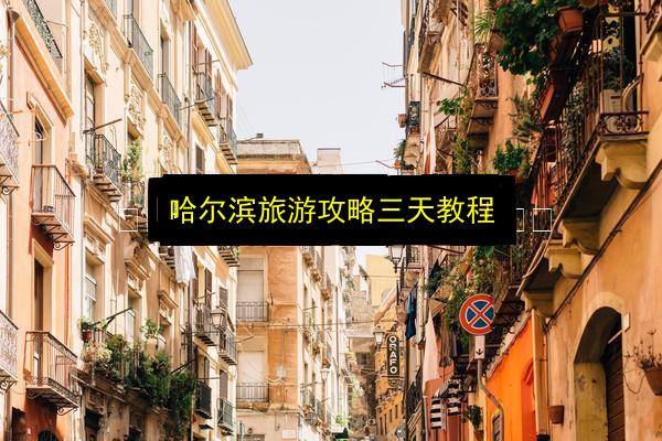 哈尔滨旅游攻略三天教程插图 文章配图