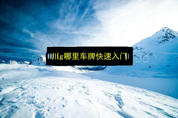 川g哪里车牌快速入门插图 文章配图