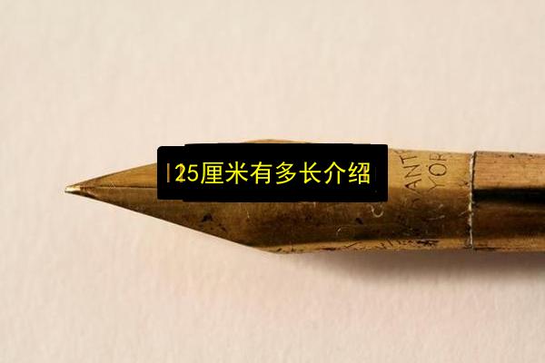 25厘米有多长介绍插图 文章配图