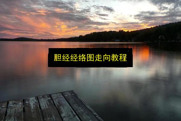 胆经经络图走向教程插图 文章配图