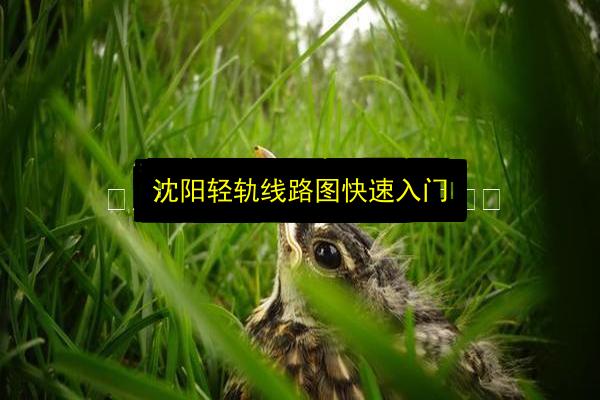 沈阳轻轨线路图快速入门插图 文章配图