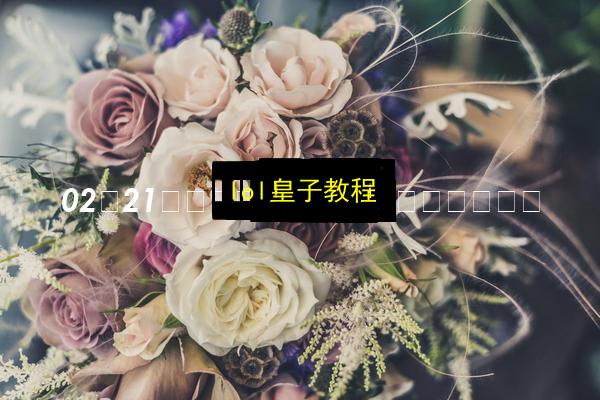 lol皇子教程插图 文章配图