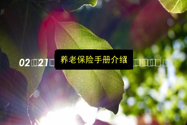 养老保险手册介绍插图 文章配图