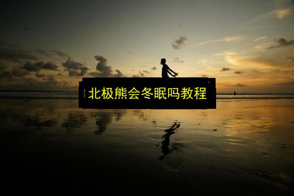 北极熊会冬眠吗教程插图 文章配图