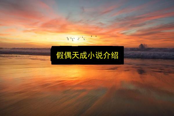 假偶天成小说介绍插图 文章配图