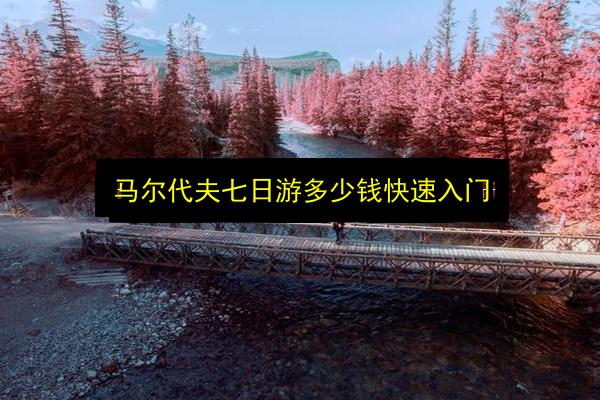 马尔代夫七日游多少钱快速入门插图 文章配图