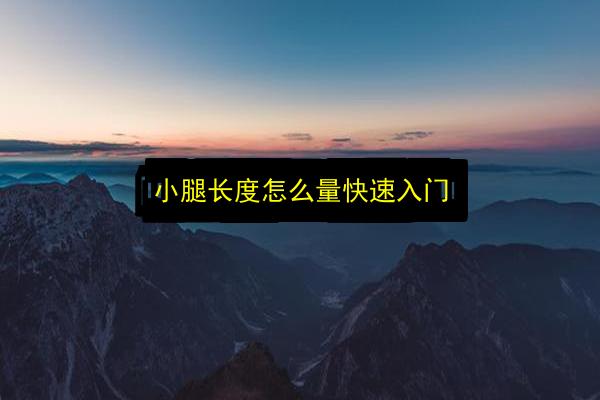 小腿长度怎么量快速入门插图 文章配图