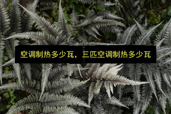 空调制热多少瓦,三匹空调制热多少瓦插图 文章配图