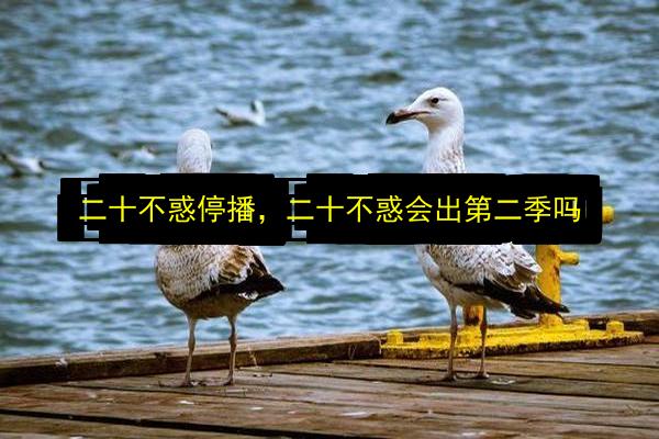 二十不惑停播,二十不惑会出第二季吗插图 文章配图