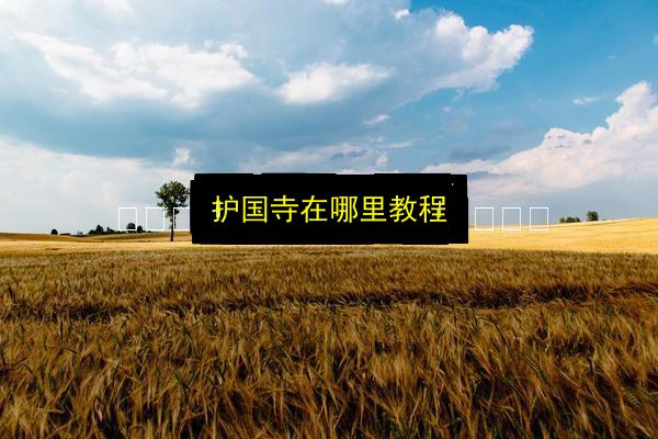 护国寺在哪里教程插图 文章配图