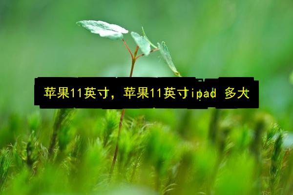 苹果11英寸,苹果11英寸ipad 多大插图 文章配图