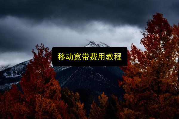 移动宽带费用教程插图 文章配图