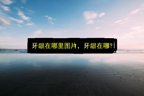 牙龈在哪里图片,牙龈在哪?插图 文章配图