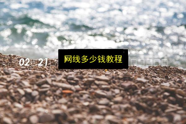 网线多少钱教程插图 文章配图