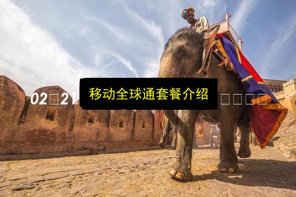 移动全球通套餐介绍插图 文章配图