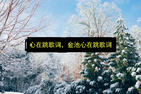 心在跳歌词,金池心在跳歌词插图 文章配图