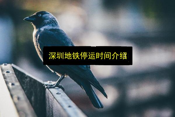 深圳地铁停运时间介绍插图 文章配图