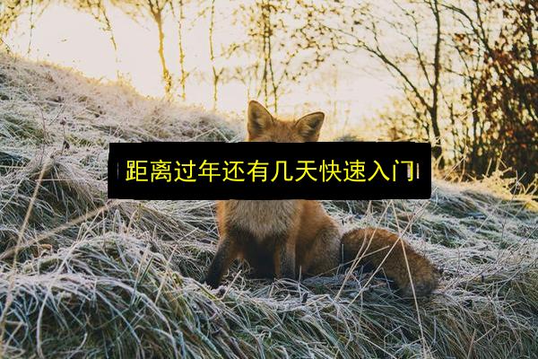 距离过年还有几天快速入门插图 文章配图
