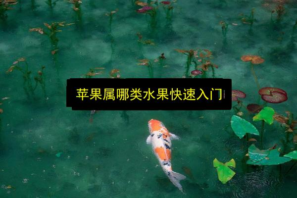 苹果属哪类水果快速入门插图 文章配图