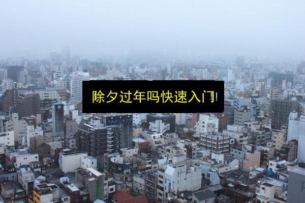 除夕过年吗快速入门插图 文章配图