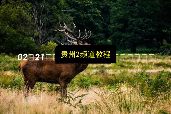 贵州2频道教程插图 文章配图