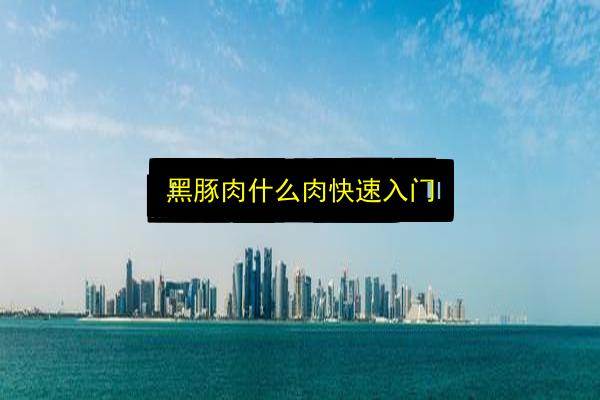 黑豚肉什么肉快速入门插图 文章配图