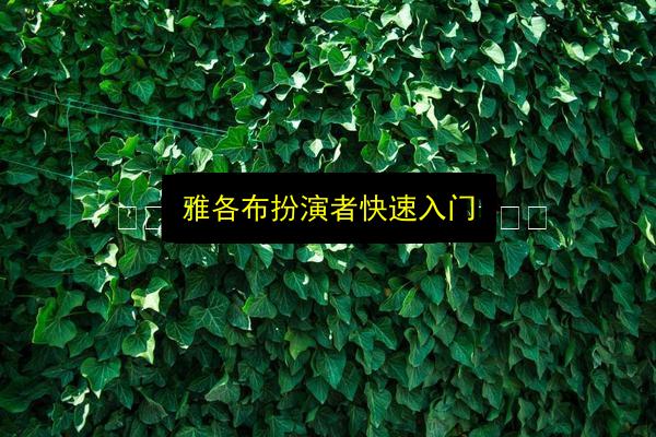 雅各布扮演者快速入门插图 文章配图