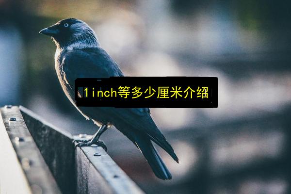 1inch等多少厘米介绍插图 文章配图