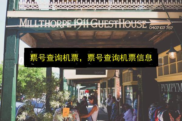 票号查询机票,票号查询机票信息插图 文章配图