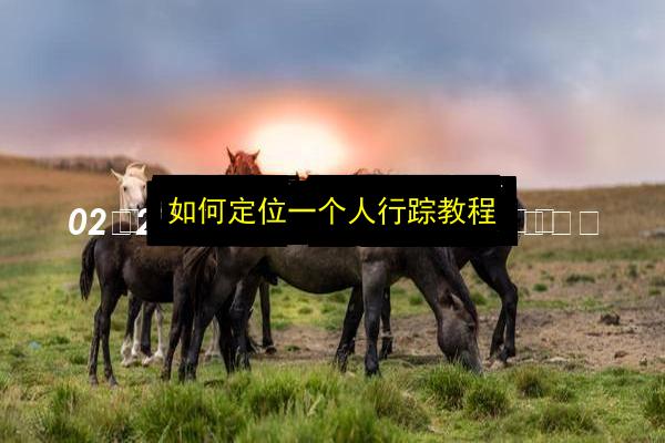 如何定位一个人行踪教程插图 文章配图