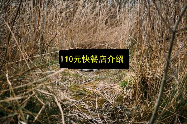 10元快餐店介绍插图 文章配图