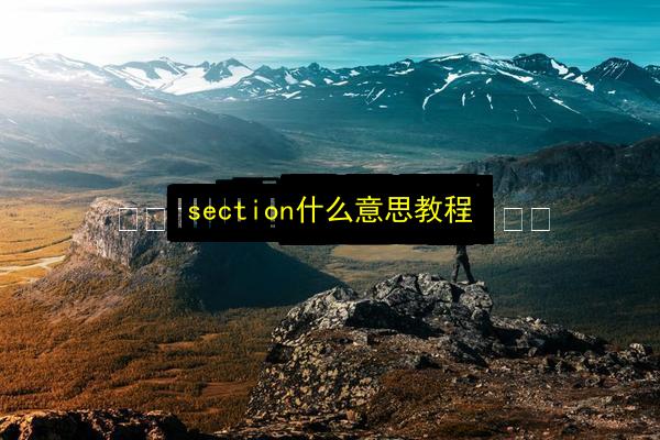section什么意思教程插图 文章配图