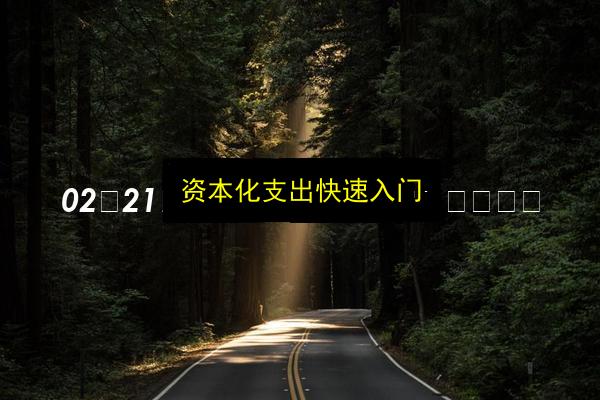 资本化支出快速入门插图 文章配图