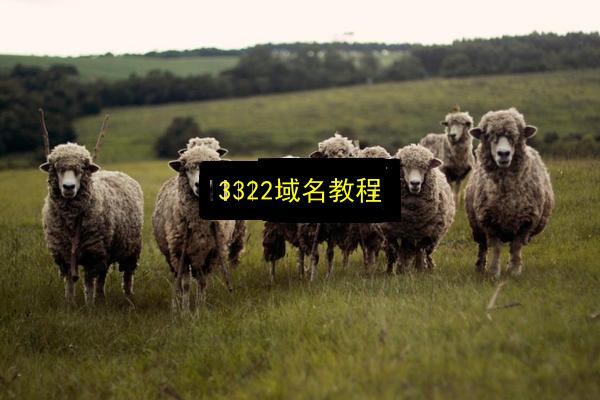 3322域名教程插图 文章配图