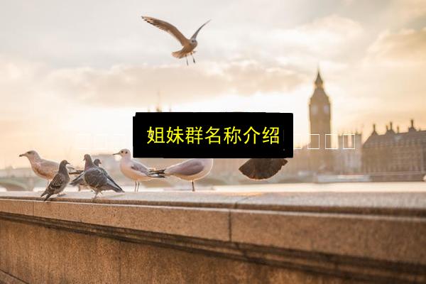 姐妹群名称介绍插图 文章配图