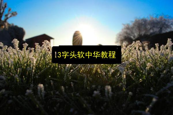 3字头软中华教程插图 文章配图